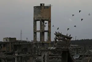 Birds fly above damaged buildings in a rebel-held area in the city of Deraa