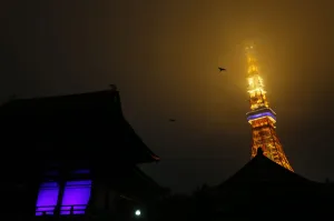 Japan Prints: Birds fly over Zojoji Temple and Tokyo tower before their lights were turned off during