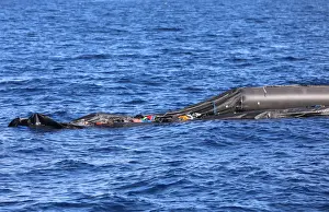 A boat that was carrying immigrants is seen in the Mediterranean Sea off the coast of