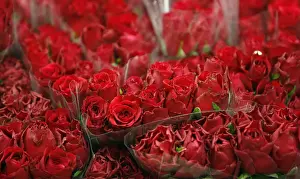 Bunches of red roses are displayed on a stall at New Covent Garden Market a day before