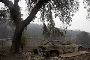 Images Dated 2017 June: A burned car is seen in a local road following a forest fire outside Pedrogao Grande