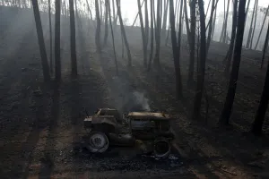 Images Dated 2017 June: A burned out tractor is seen amidst burned trees after a forest fire in Castanheira de