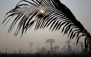 Prints of A burning tract of Amazon jungle is pictured in Porto Velho, Brazil August 25, 2019. REUTERS/Ricardo Moraes Brazil Prints: A burning tract of Amazon jungle is pictured in Porto Velho