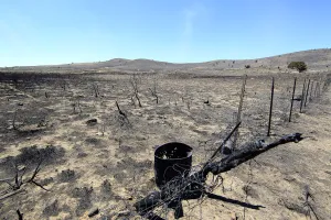 Wildfire Prints: A burnt fence leans over in the aftermath of the Wood Hollow Fire north of Fairview
