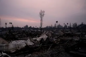 California Prints: A burnt tree stands amidst the destroyed Journeys End Mobile Home Park during the Tubbs