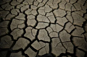 Safrica Prints: Caked mud is seen at Theewaterskloof dam near Cape Town