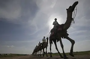 Camels are silhouetted against the setting sun over the Thar Desert at Sam village