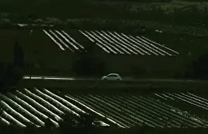 Agriculture Prints: A car passes along a road in between crop-growing fields outside Burmarrad