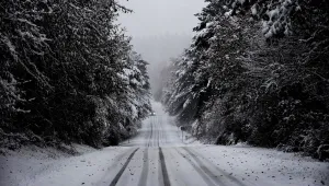 A car travels through a snow covered pine forest near the Basque town of Murgia A car travels through a snow covered pine forest near the Basque town of Murgia