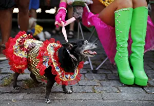 A carnival reveller and her dog take part in the Blocao or dog carnival parade during A carnival reveller and her dog take part in the Blocao or dog carnival parade during