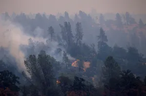 Prints of The Carr Fire burns west of Redding, California, U.S. July 28, 2018. REUTERS/Bob Strong TPX IMAGES OF THE DAY USA Prints: The Carr Fire burns west of Redding