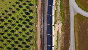 Prints of Carriages of a train are loaded with grain at a storage site on the outskirts of the town of Bowmans, located north of Adelaide, South Australia, August 21, 2018. Picture taken August 21, 2018 Australia Prints: Carriages of a train are loaded with grain at a storage site on the outskirts of