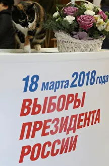 A cat is seen over a sign reading, March 18, 2018, the Russian presidential election