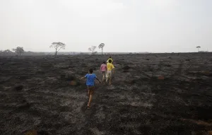 Prints of Children walk on a burned area of Chapada dos Guimaraes in midwesten Brazil, August 29, 2010 Brazil Prints: Children walk on a burned area of Chapada dos Guimaraes in midwesten Brazil