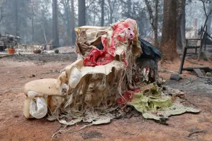 California Prints: A childrens toy destroyed by the Camp Fire is seen in Paradise