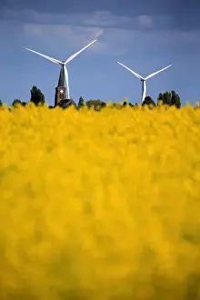 Agriculture Prints: Church and windmills of the village of Saint-Hilaire-Lez-Cambrai are seen behind a