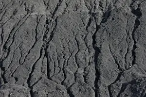 Coal is seen at a warehouse of the Trypillian thermal power plant in Kiev region