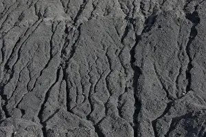 Ukraine Prints: Coal is seen at a warehouse of the Trypillian thermal power plant in Kiev region