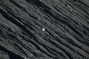 Ukraine Prints: Coal is seen at a warehouse of the Trypillian thermal power plant in Kiev region