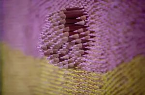 Colour pencils are seen at the Viarco factory in Sao Joao da Madeira