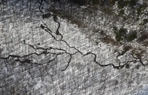Japan Prints: Cracks are seen on the snow-covered ground in woodlands near the earthquake