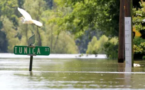 A crane flies over a street sign near a rule measuring the height of the floodwaters in A crane flies over a street sign near a rule measuring the height of the floodwaters in