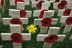 Crosses and poppies are seen in the Field of Remembrance in Westminster Abbey in London