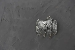 Indonesia Prints: A dead bird lies on the ash-covered ground from a Mount Sinabung eruption at Kuta Rakyat
