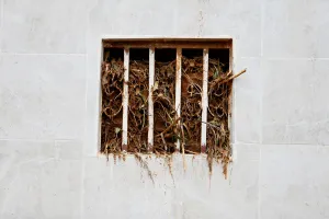 Leone Prints: Debris is seen inside the window of a house left along the valley after the flash flood