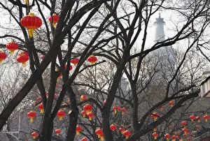 : Decorations for the upcoming Chinese Lunar New Year are pictured in Beijing