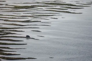 Serbia Prints: Depleted Western Balkan rivers hit power generation, up prices