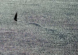 A DHOW SAILS IN THE INDIAN OCEAN NEAR LAMU ARCHIPELAGO ON KENYA'S NORTH COAST A DHOW SAILS IN THE INDIAN OCEAN NEAR LAMU ARCHIPELAGO ON KENYA'S NORTH COAST