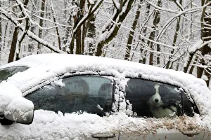 Hungary Prints: A dog is seen in a snow covered car in Budapest