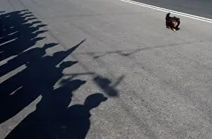 A dog walks past soldiers of Moldovas self-proclaimed separatist Dnestr region as