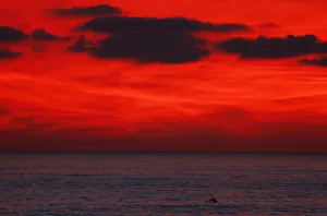Sunlight Prints: Dolphin jumps after sun set off the coast of California