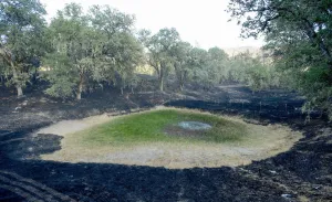 California Prints: A drained pond sits surrounded by scorched land after the the Butts fire burned through