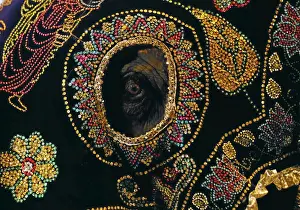 An elephant decorated with a cloth walk in the annual Nawam Perahera street parade in
