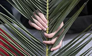 A faithful holds a palm frond as he waits for Pope Francis at the Palm Sunday mass
