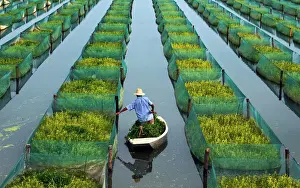 A farmer feeds his eels at a pond in Zhanggou County of Xiantao city
