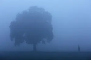A farmer walks through a wheat field on a foggy winter morning on the outskirts of Jammu