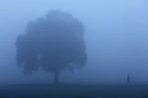 A farmer walks through a wheat field on a foggy winter morning on the outskirts of Jammu