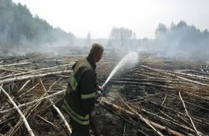 Prints of A firefighter works to extinguish a peat fire in a forest near the town of Shatura, some 130 km (81 miles) southeast of Moscow, July 27, 2010 Russia Prints: A firefighter works to extinguish a peat fire in a forest near the town of Shatura