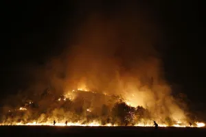 Fire Prints: Firefighters start a backfire in order to control the Springs Fire near Newbury Park