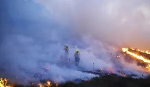 Spain Prints: Firefighters walk through smoke while fighting a forest fire near the Basque town of