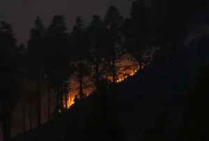 Spain Prints: Firefighters work to put out a fire in the forest area of La Cumbre