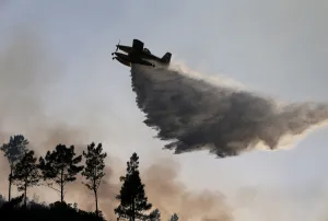 Images Dated 2017 June: A firefighting plane dumps water on a forest fire in Mendeira