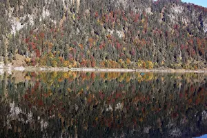 Weather Prints: A fisherman rows his boat during a sunny autumn day at the Sylvenstein barrier lake