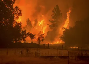 Wildfire Prints: Flames from the Butte fire rise over a pasture in Mountain Ranch