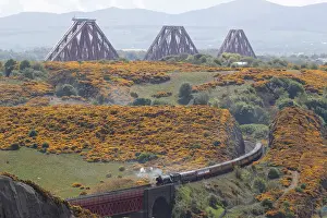 The Forth Bridge dominates the background as the Flying Scotsman steam train travels
