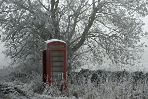 United Kingdom Prints: A frost covered telephone box stands in Newhaven, central England